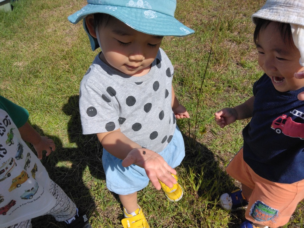 新園庭で遊んでいる様子 (3)