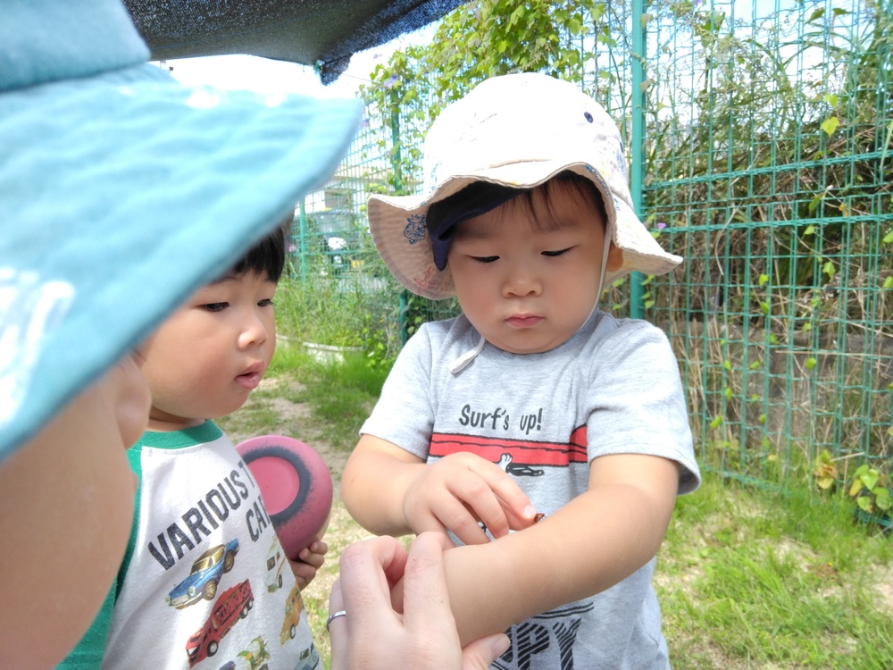 新園庭で遊んでいる様子 (6)