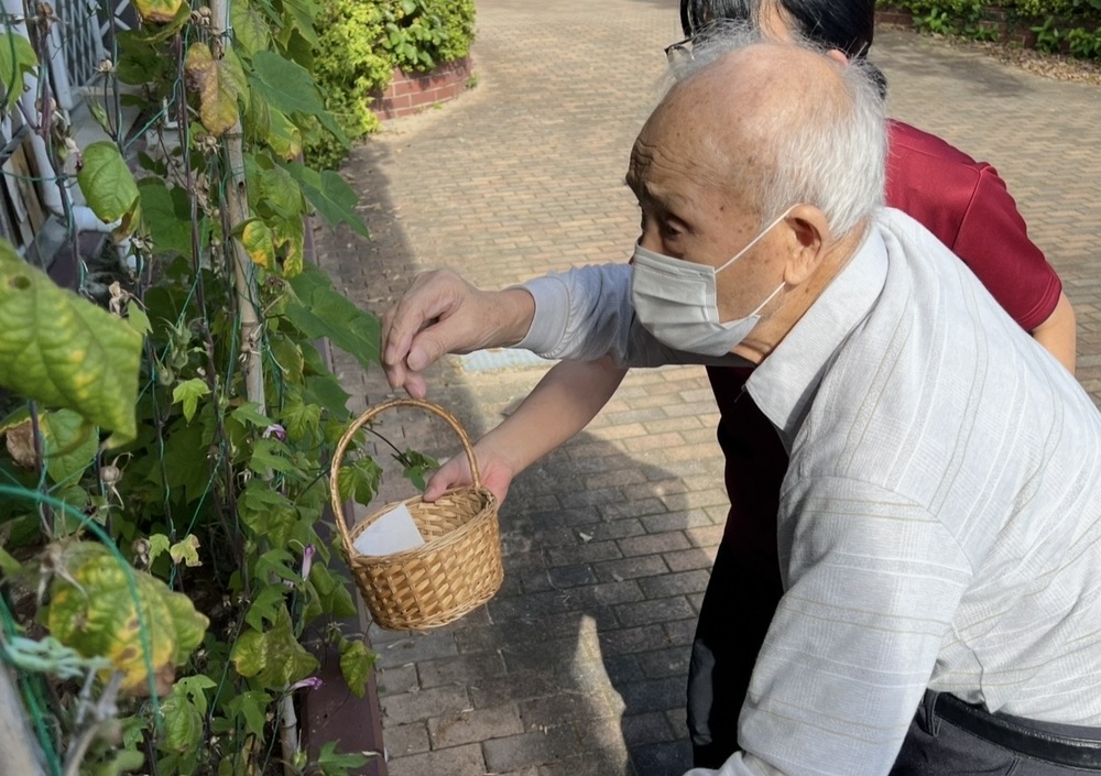 IMG_6281
