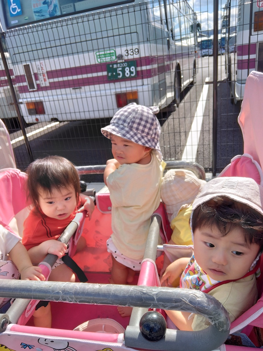 IMG_20261008_101247[1]