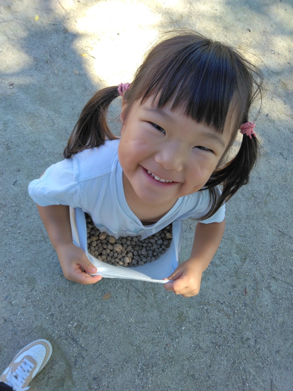 大田小学校 (3)