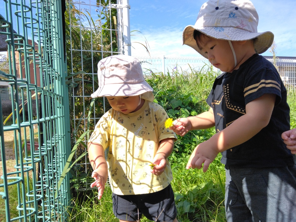 新園庭のでの様子 (1)