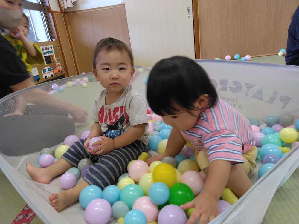 IMG_20261014_100343[1]