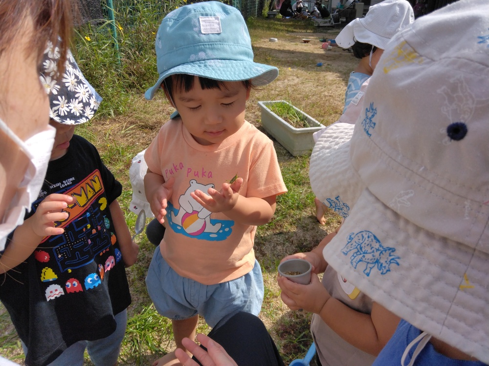 園庭で遊ぶ子ども (1)