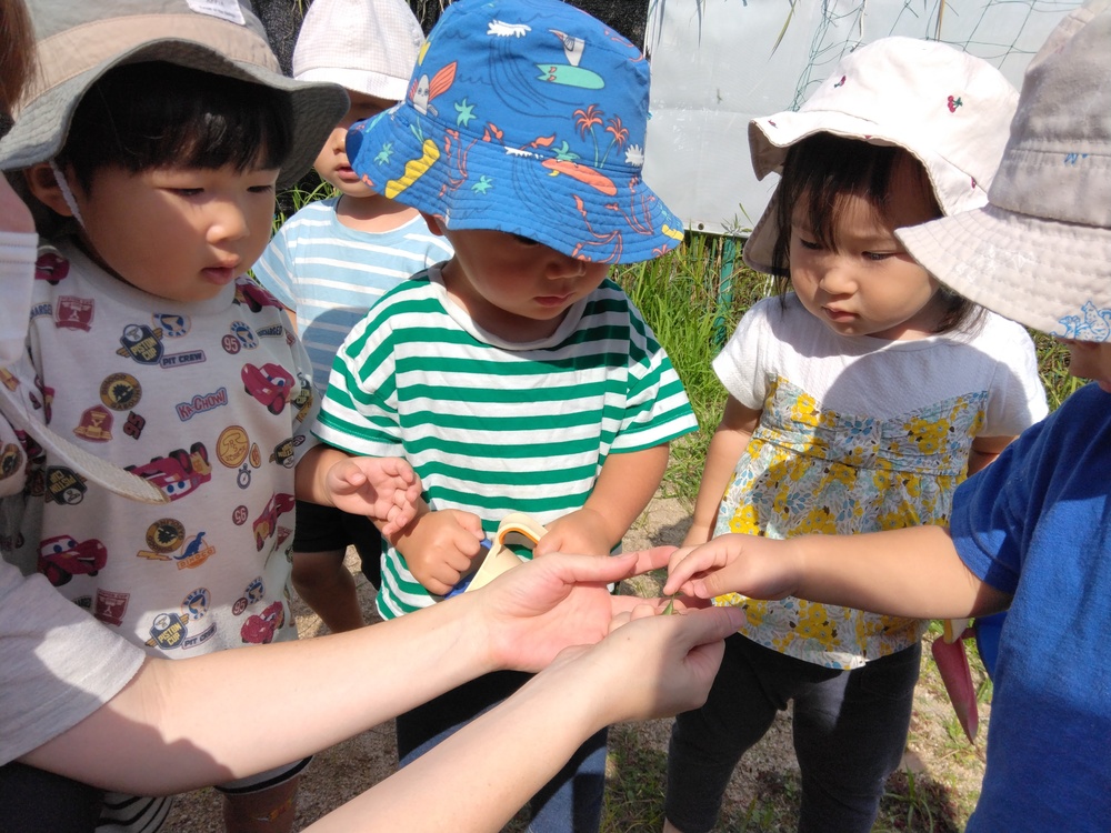 園庭で遊ぶ子ども (5)