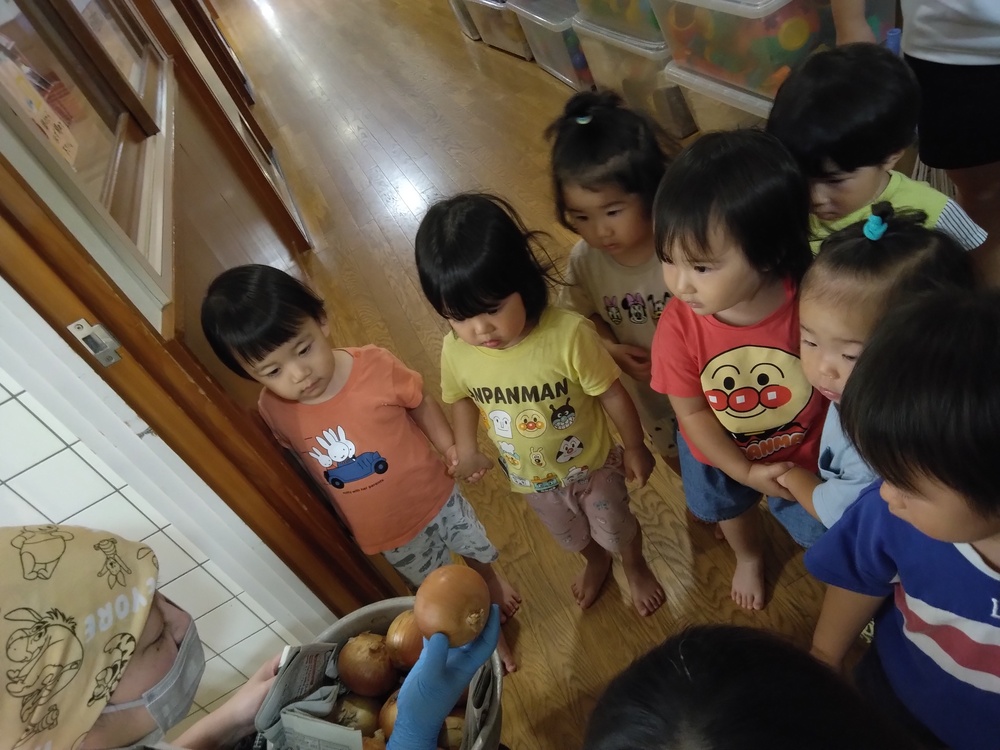 玉ねぎの皮むきをする子ども (2)