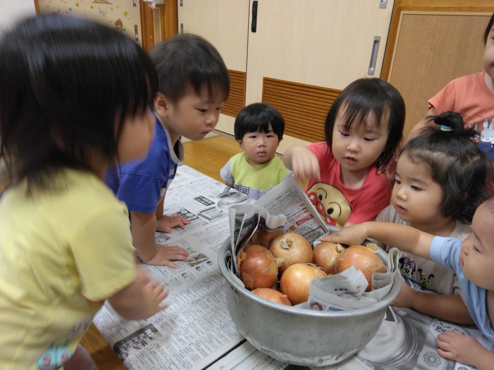 玉ねぎの皮むきをする子ども (3)