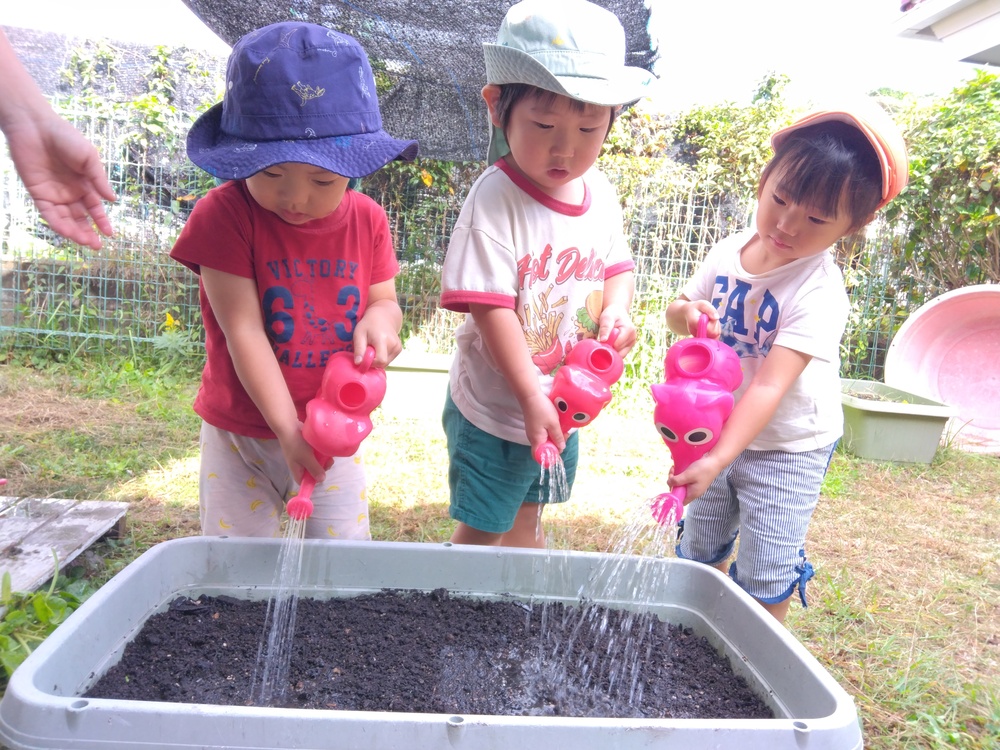 水やりしている