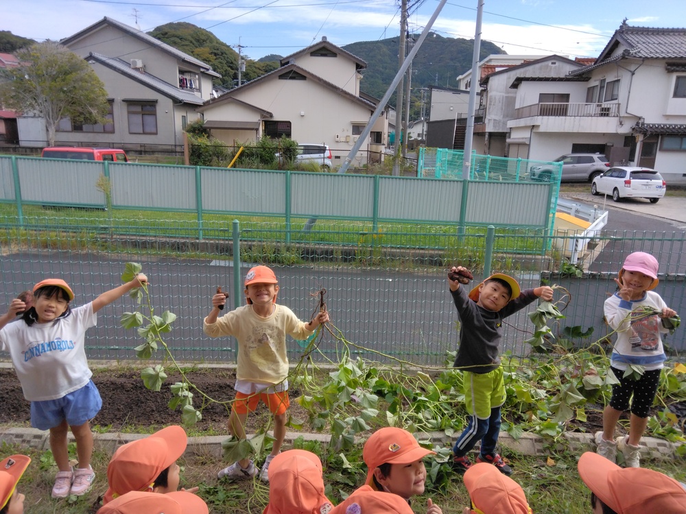 芋ほりの様子3