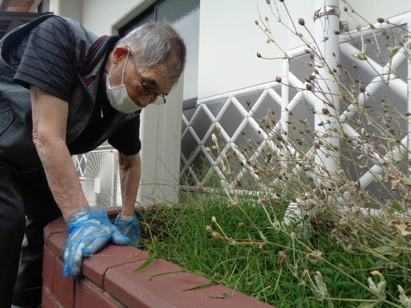 利用者が草抜き