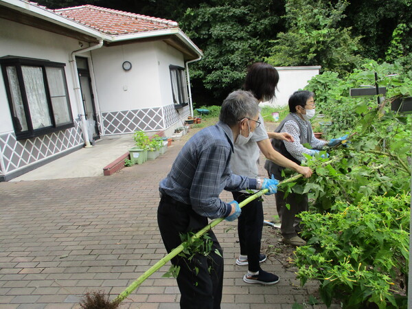 草抜き