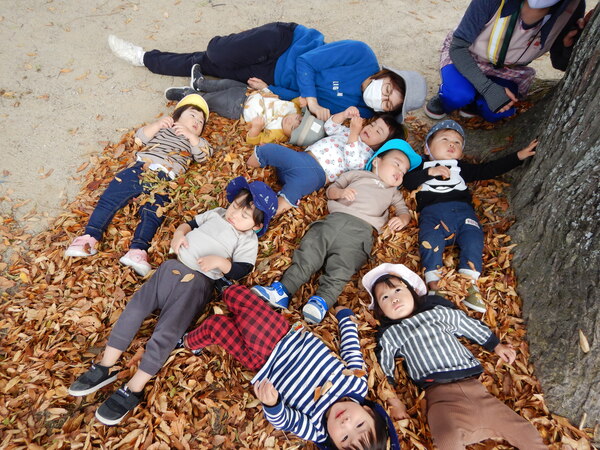 葉っぱのシャワー