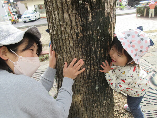 木に隠れる