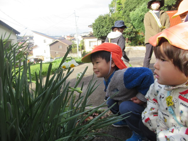 スイセンの花を見ている子どもたち