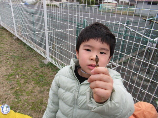 つくしを持っている男の子