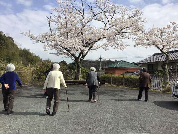 お花見