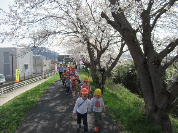 桜並木を歩く子どもたち