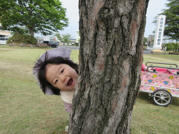 お散歩の様子