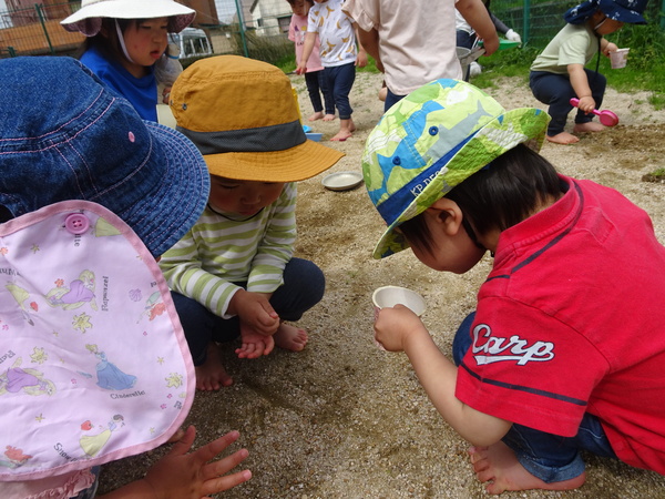 園庭遊び (6)