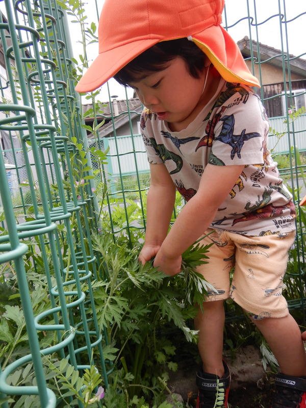 草を抜く子ども