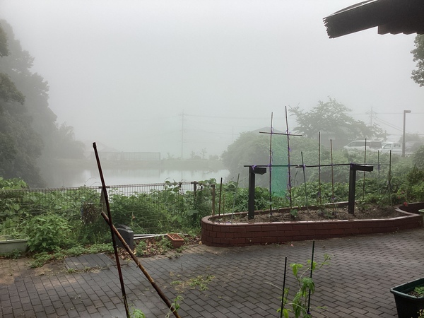 天気