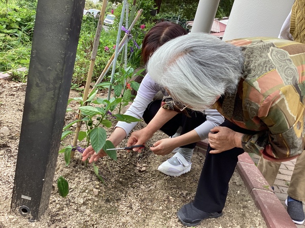 園芸活動