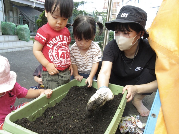 じゃがいも植え付けの様子