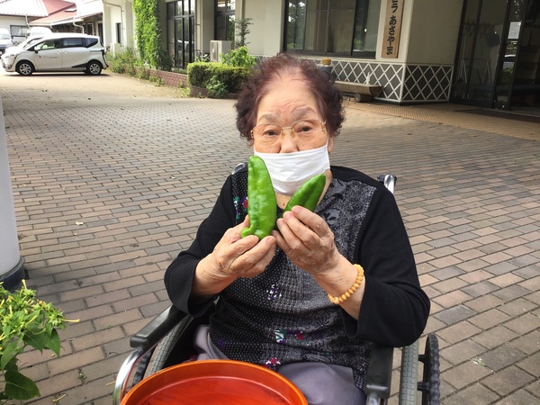 野菜