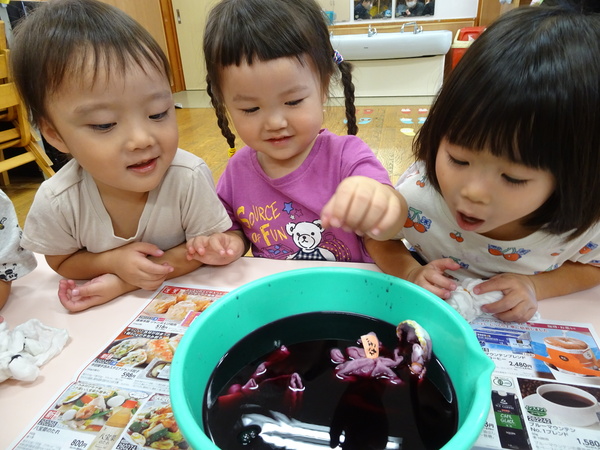 朝顔の染め布 (4)