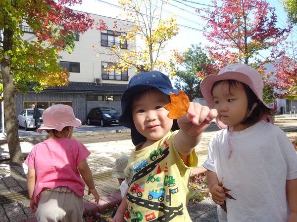 葉っぱを拾っている子ども (1)