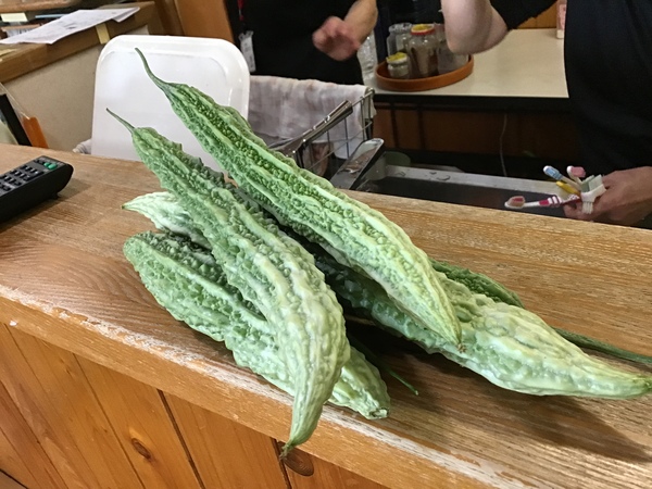 ゴーヤ
