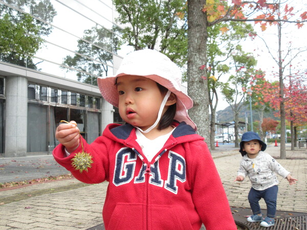 散歩の様子