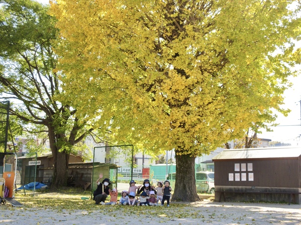 散歩の様子(大田小学校)