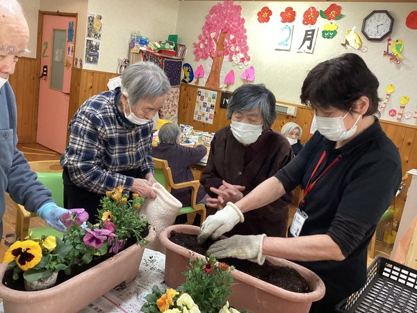 鉢植え