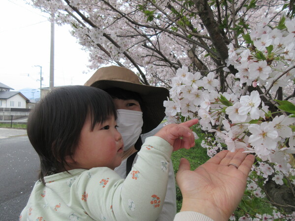 桜と一緒に