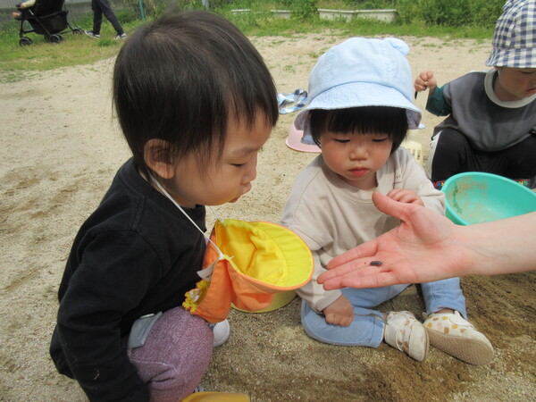 園庭で遊んでいる様子