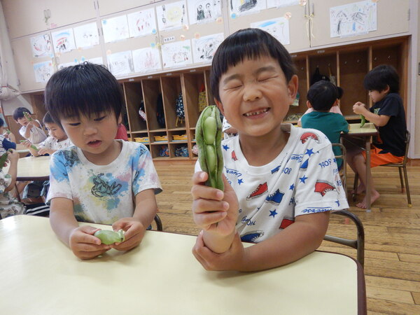 お弁当ごっこ (11)