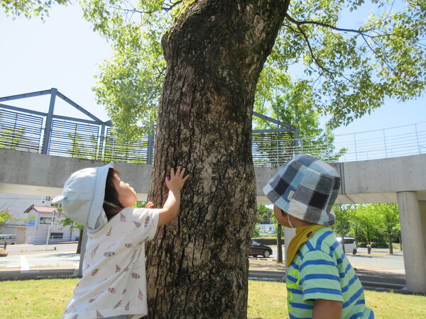 お散歩の様子 (3)