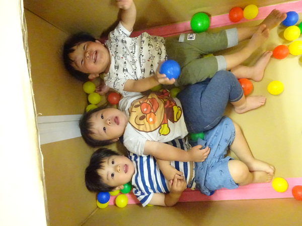 段ボールハウス