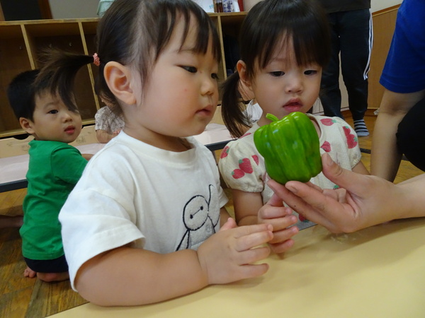 ピーマン収穫