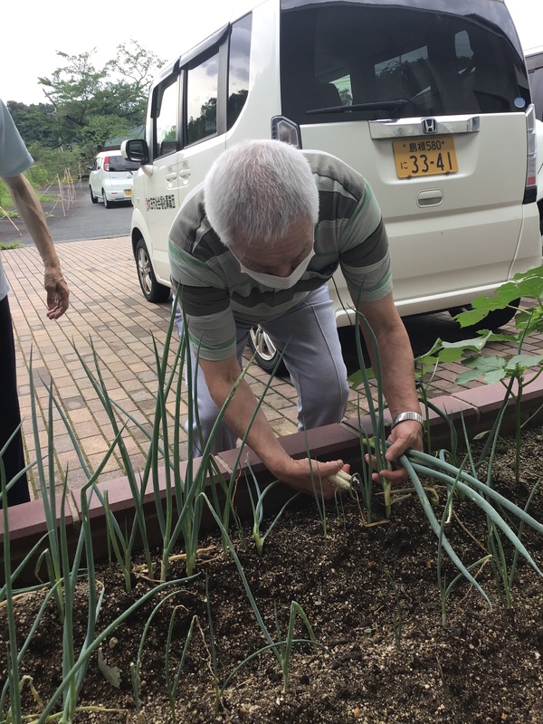 野菜