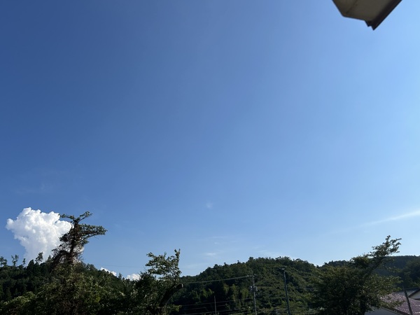 屋外訓練