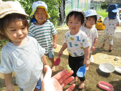 どろんこ遊びの様子 (3)