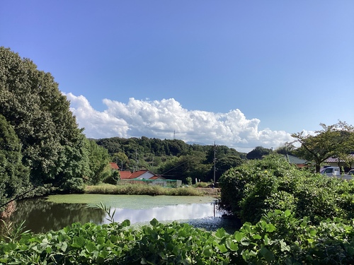 体操
