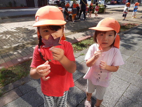 落ち葉を拾って見せている子どもたち (2)