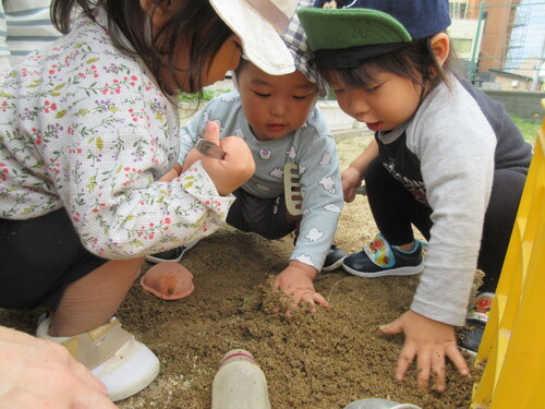 園庭遊びの様子