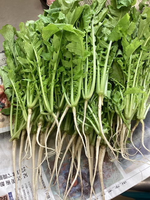 大根葉