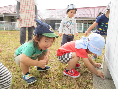 園庭で遊んでいる様子