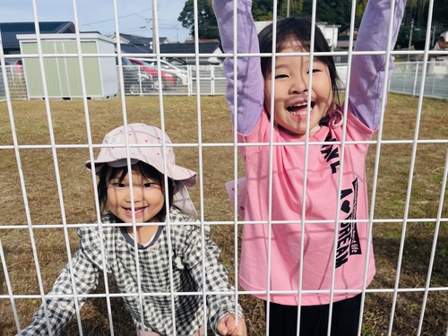 園庭で遊ぶ子ども (3)