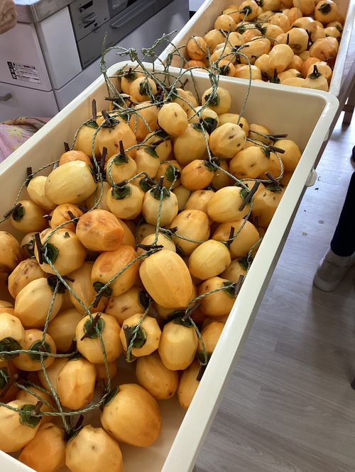 干し柿